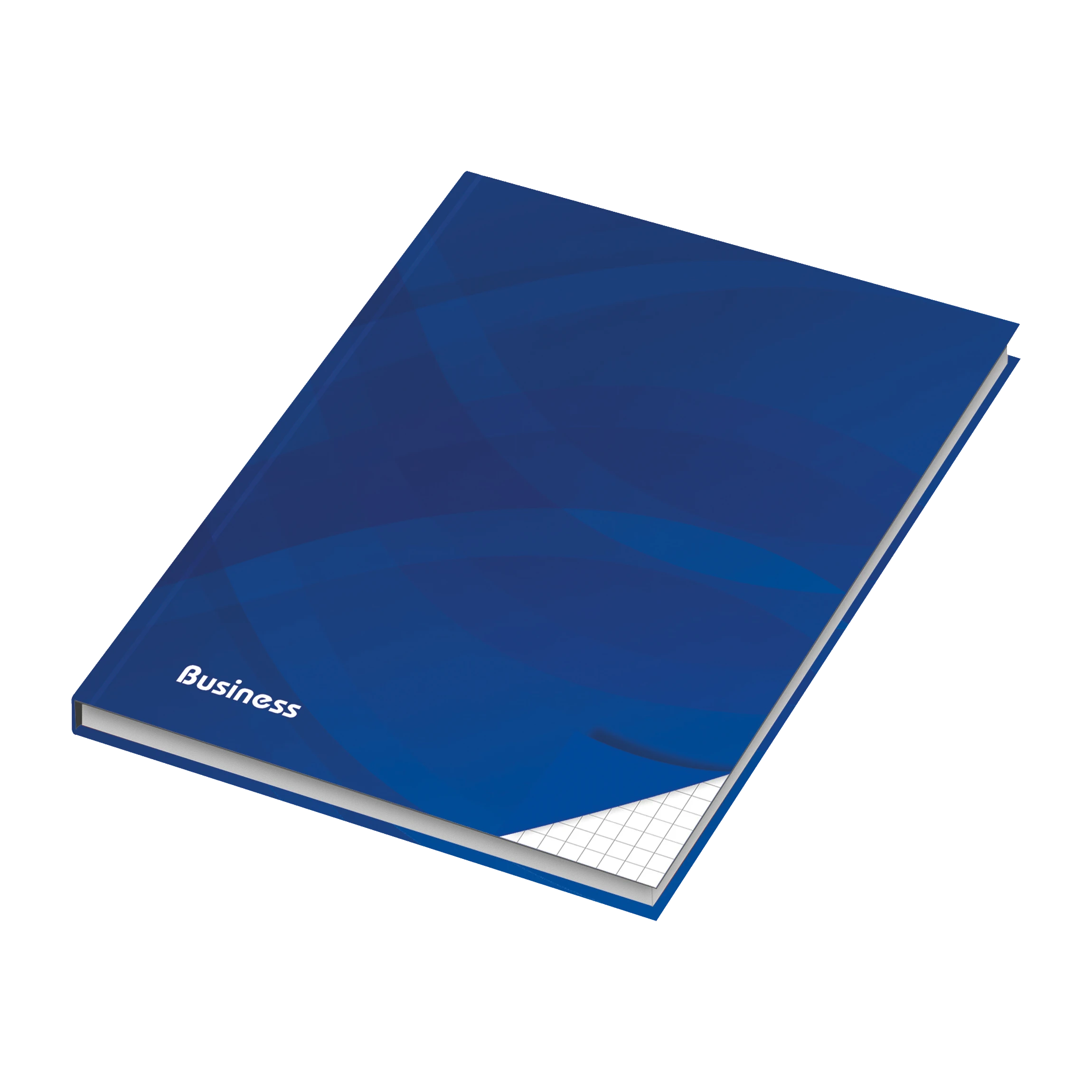 RNK Verlag Kladde Business DIN A5 kariert blau 96 Blatt RNK Verlag Kladde Business DIN A5 kariert blau 96 Blatt
