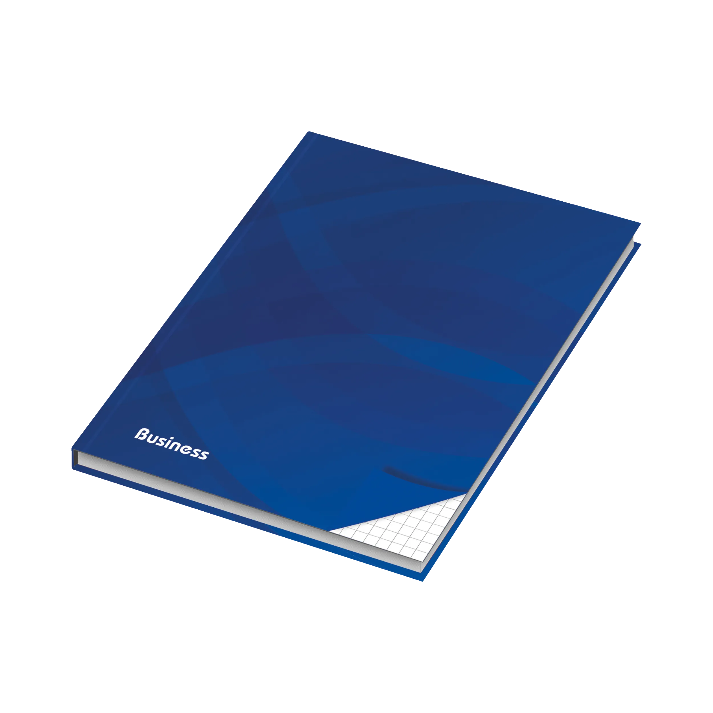 RNK Verlag Kladde Business DIN A4 kariert blau 96 Blatt RNK Verlag Kladde Business DIN A4 kariert blau 96 Blatt