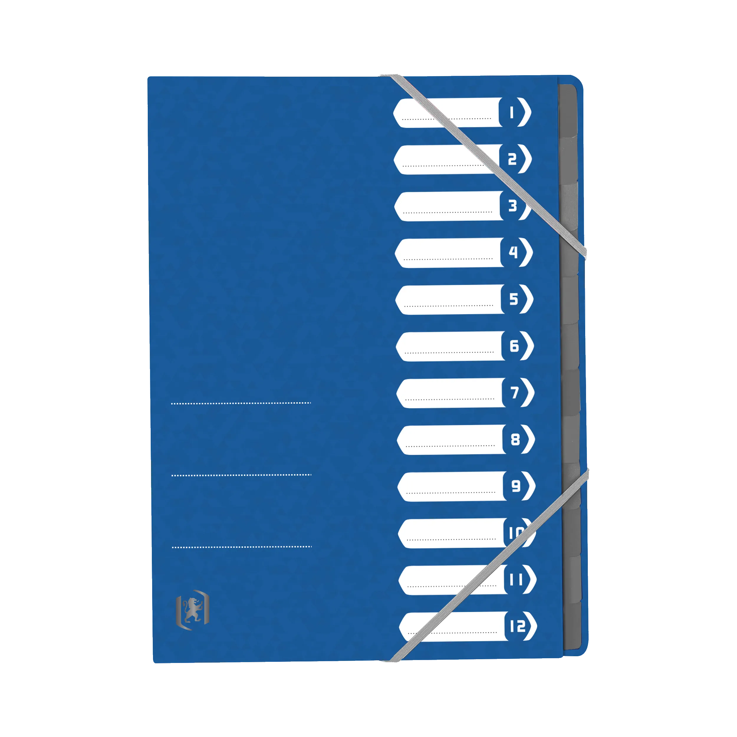 OXFORD Ordnungsmappe TOP FILE+ 12 Fächer blau DIN A4  390 g/m²