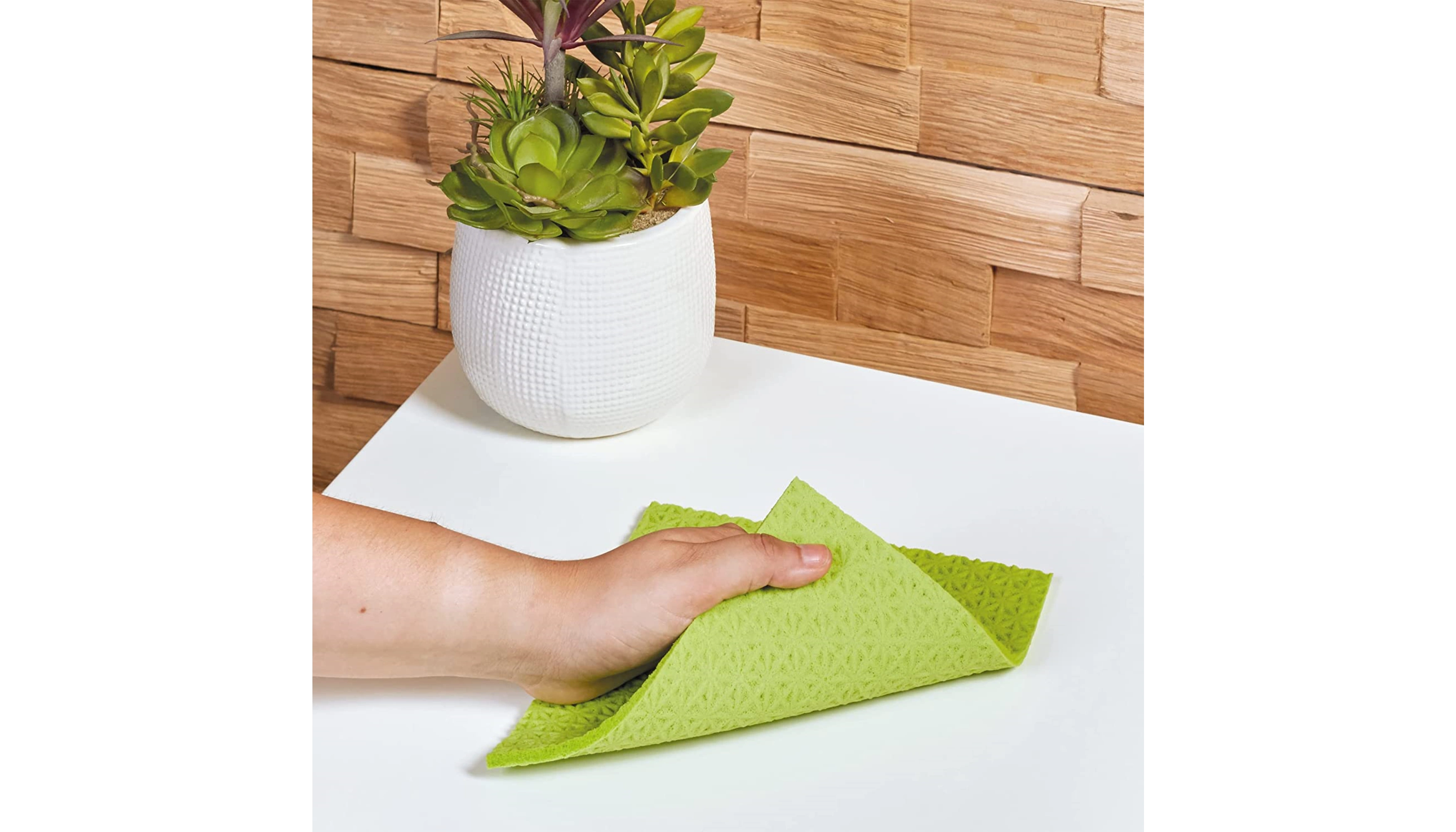 SPONTEX  Schwammtücher Classic 19 x 26 cm (B x L) 5 Stück/Pack farbig sortiert