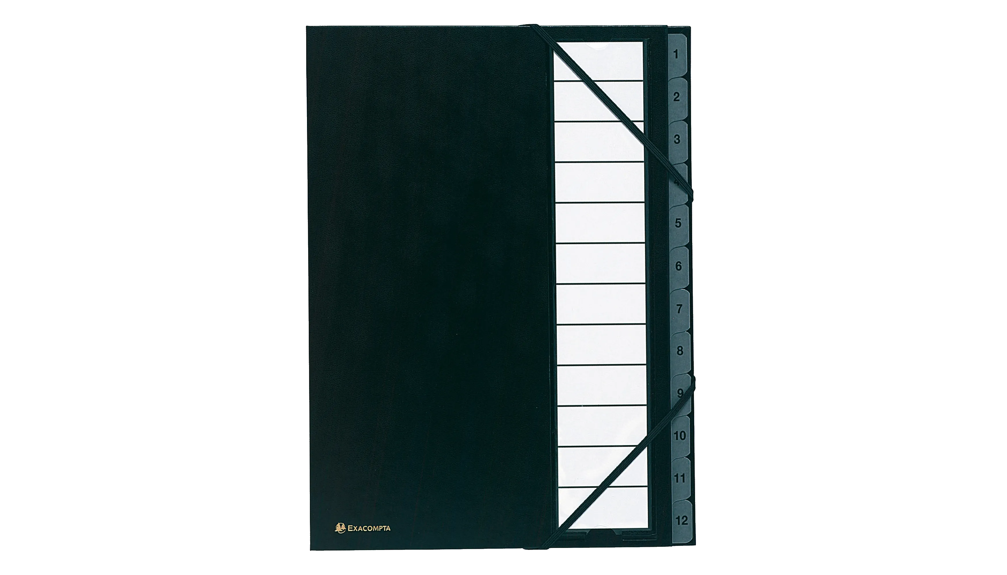 Exacompta Ordnungsmappe Ordonator® 12 Fächer